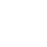 Litespeed Web Server
