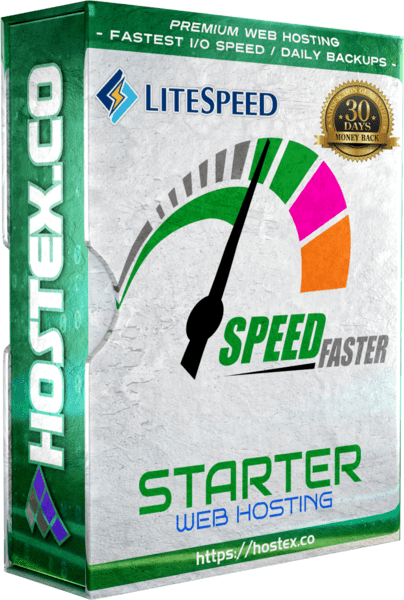 Starter Web Hosting